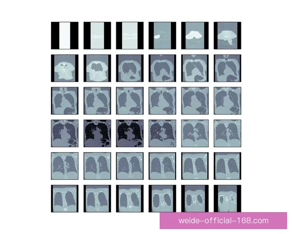 全面解析伟德赛事数据与动态，助您精准预测比赛走势